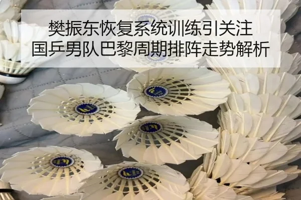 樊振东恢复系统训练引关注 国乒男队巴黎周期排阵走势解析